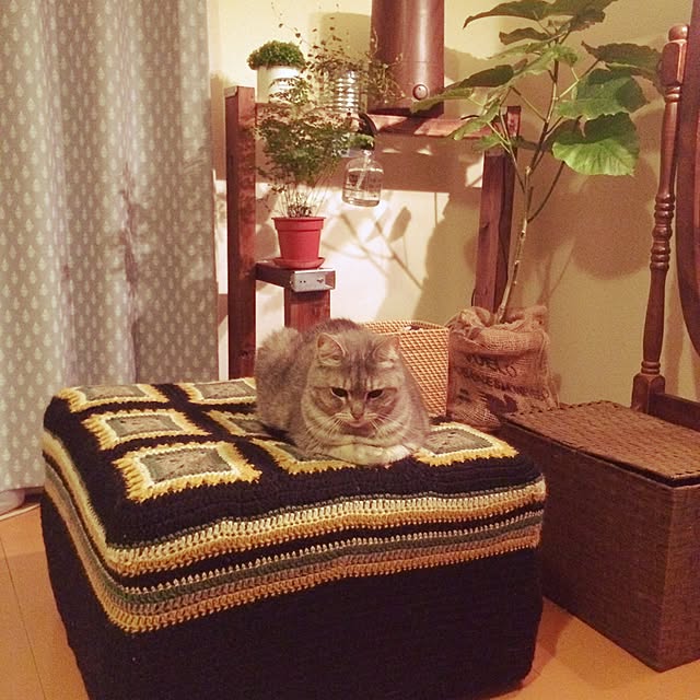 mayraionさんの実例写真