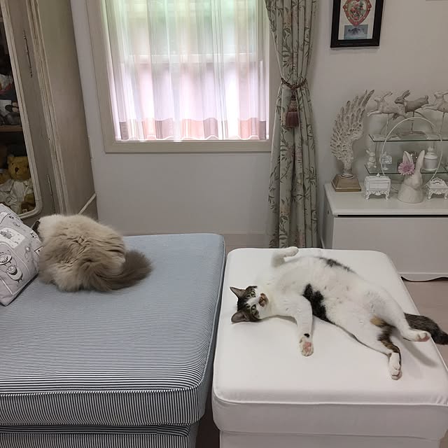 yuchiさんの実例写真