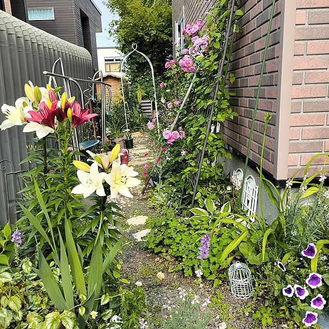 kiraさんの部屋