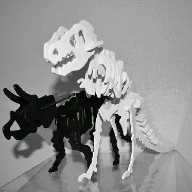 qykittyさんの実例写真