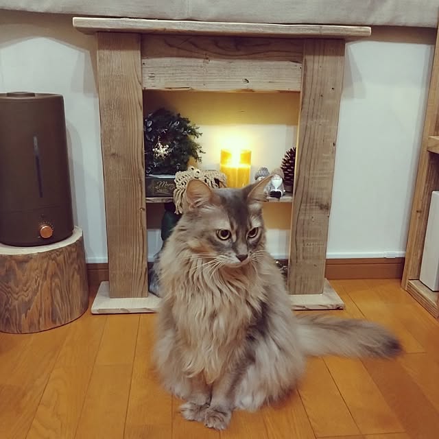 luke.solさんの部屋