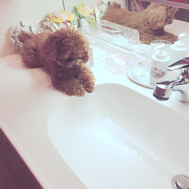 ISM.mumさんの実例写真