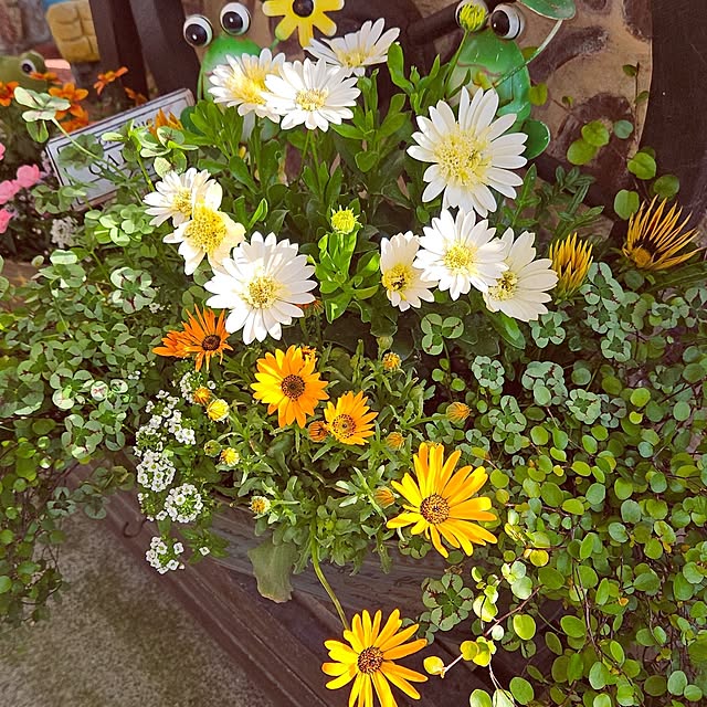 mocomocoさんの部屋