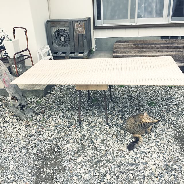 Mikaさんの実例写真