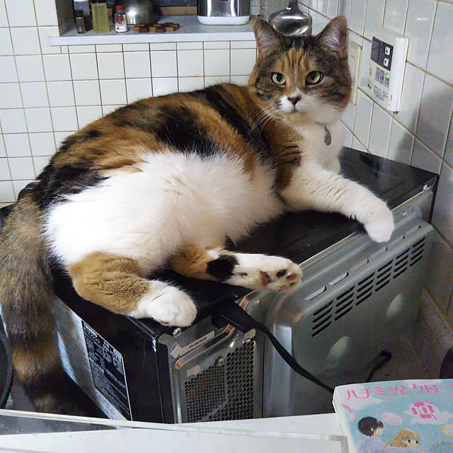 yukieさんの実例写真