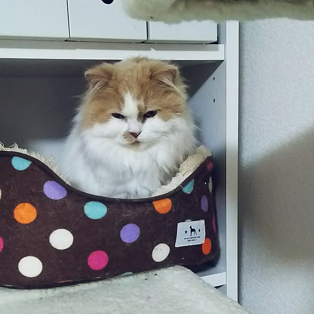 nonkoさんの実例写真