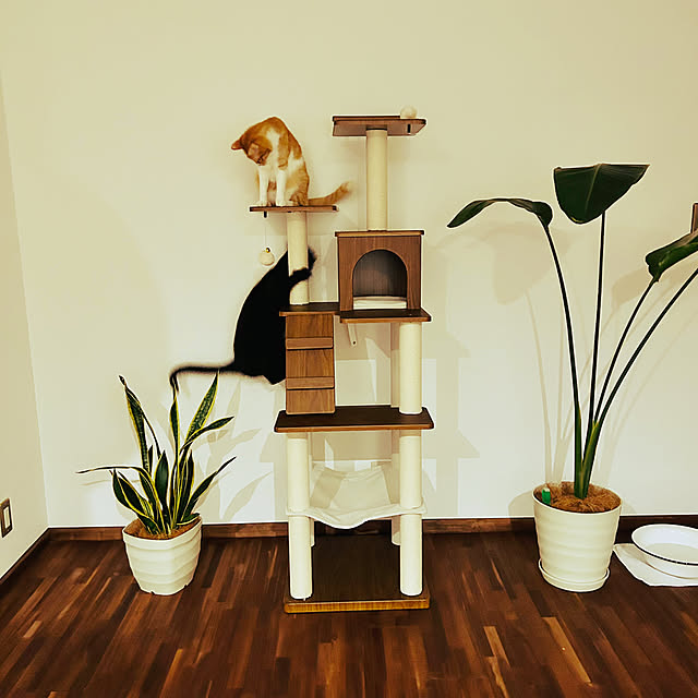 R.さんの部屋