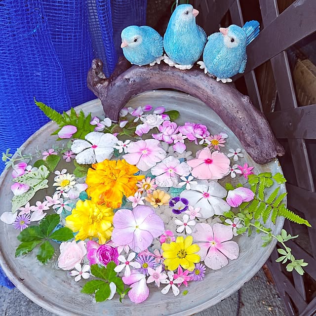 mocomocoさんの実例写真
