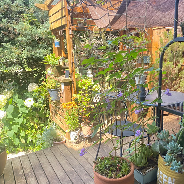 mintteaさんの部屋