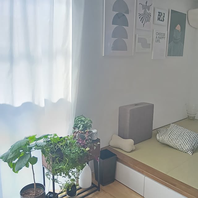 anmomaruさんの実例写真