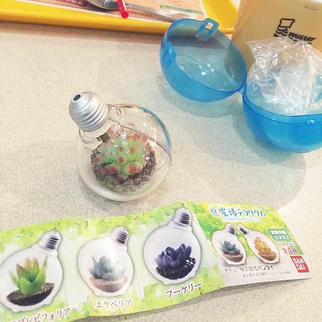 taksさんの実例写真