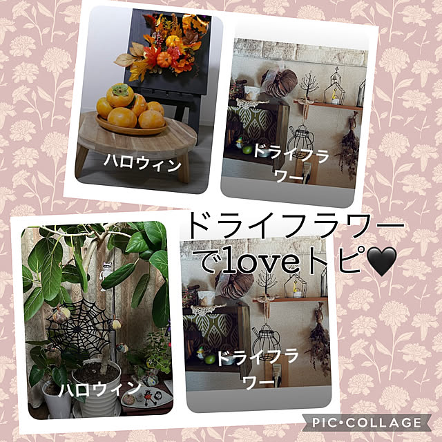 CoCo0617さんの実例写真