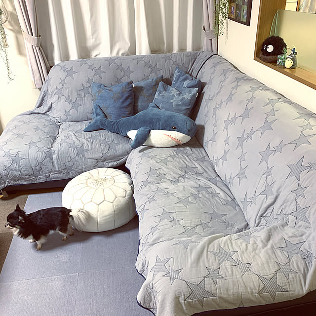 eriさんの実例写真