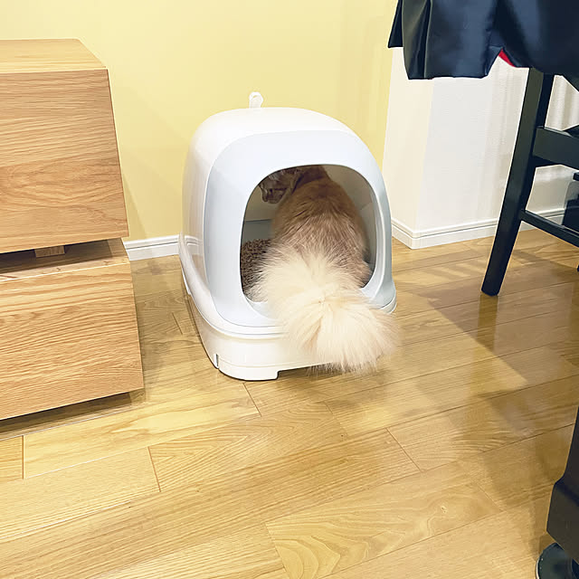 m.r.iさんの実例写真