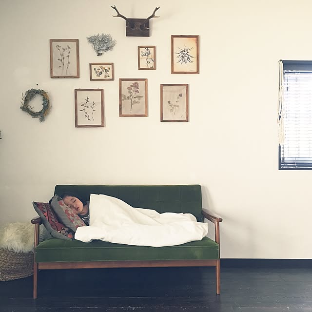 romimushiさんの実例写真
