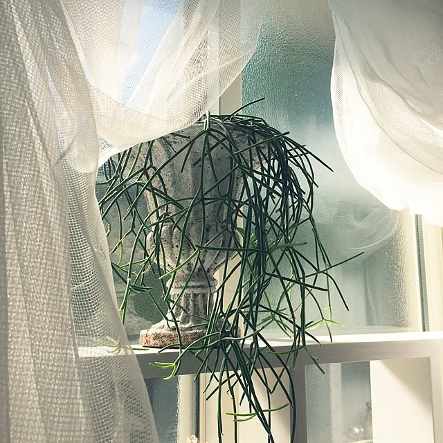 Makoさんの実例写真