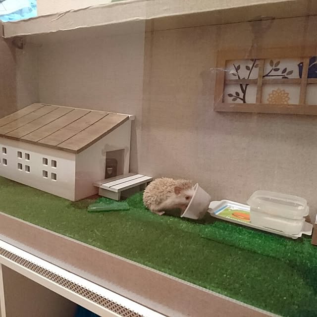 HEIHEITOさんの実例写真