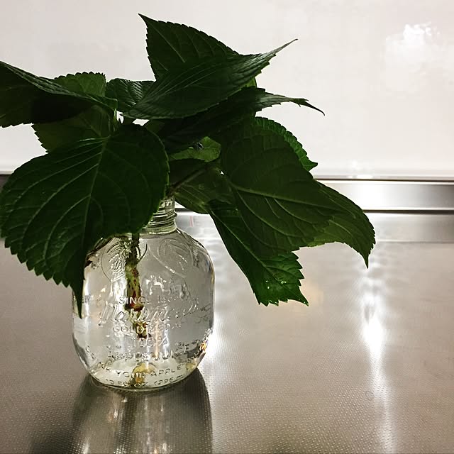 aninさんの実例写真