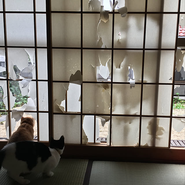 Yukinekoさんの実例写真