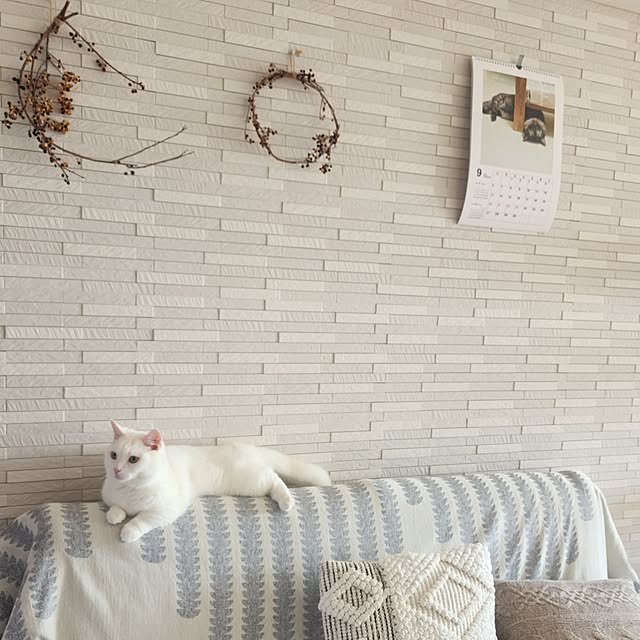 tomatoさんの部屋