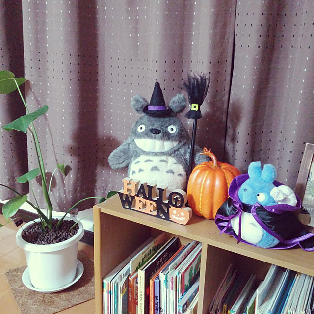 aquaさんの実例写真