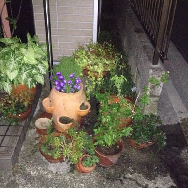 yayoyaccoさんの実例写真