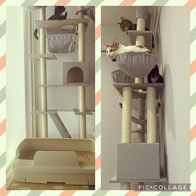 m.coccoさんの実例写真