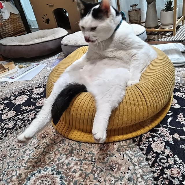 yuuさんの実例写真