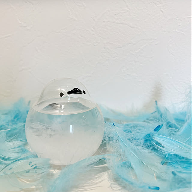 kikujiroさんの実例写真