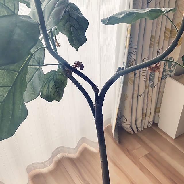 yuuさんの部屋