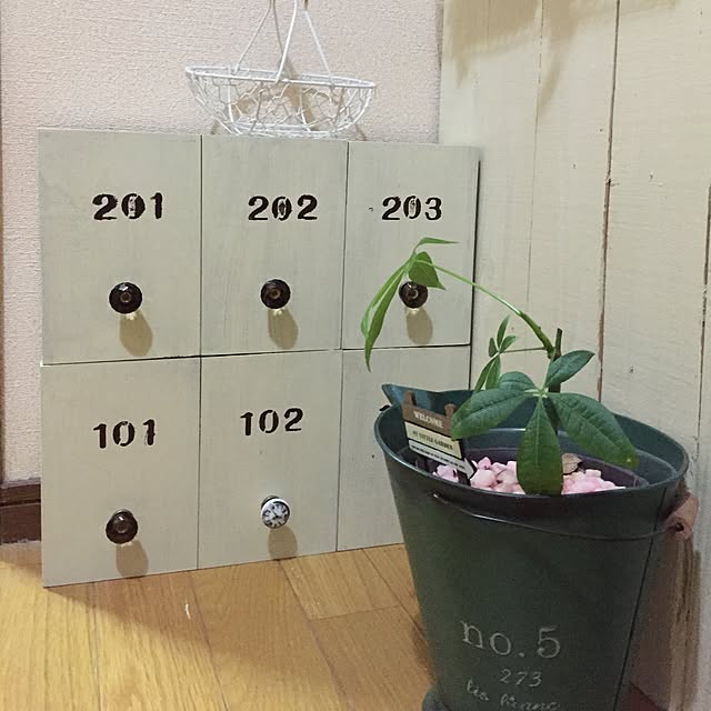 yoshiさんの実例写真