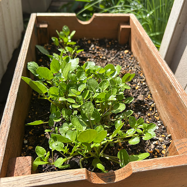 botanさんの部屋