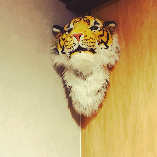 erinkaさんの実例写真