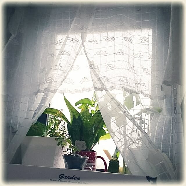 OBTERNIR88filerさんの実例写真