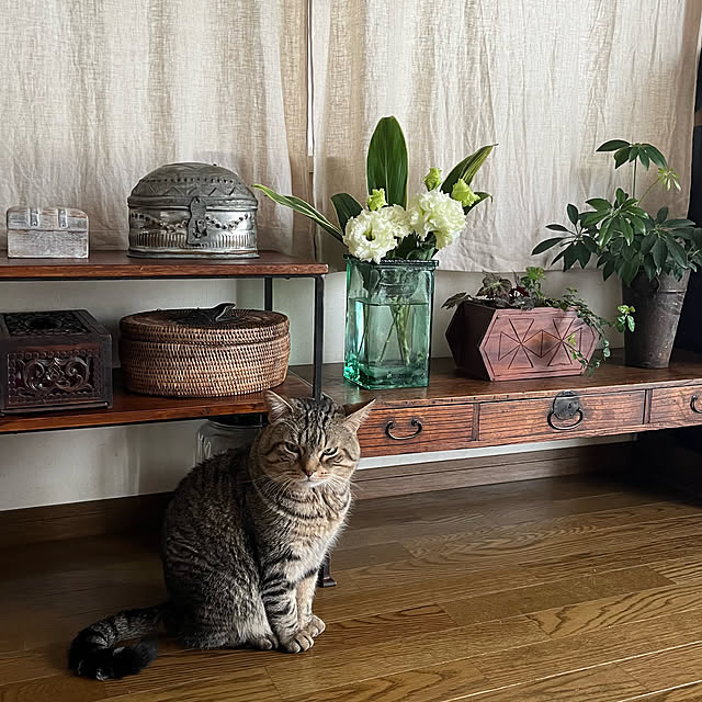 kuuさんの部屋