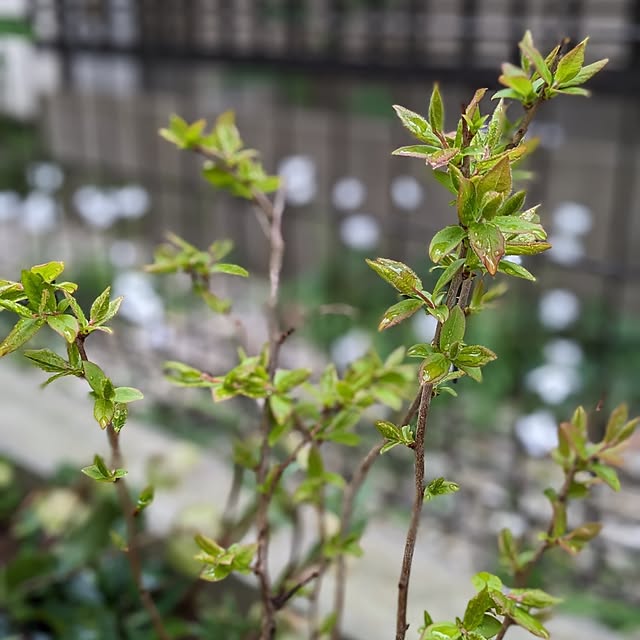 reeさんの部屋
