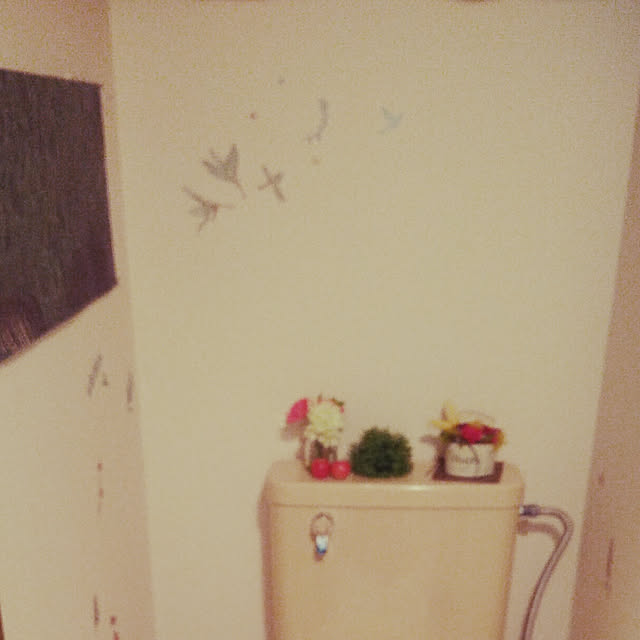 pinochoさんの実例写真