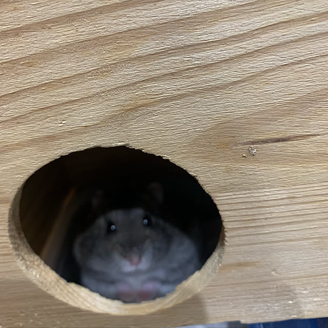 memeさんの実例写真