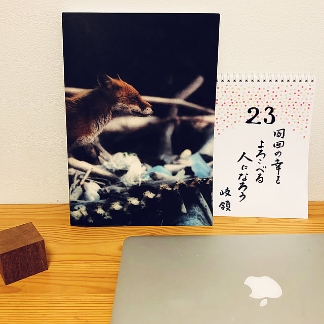Tamataroさんの実例写真