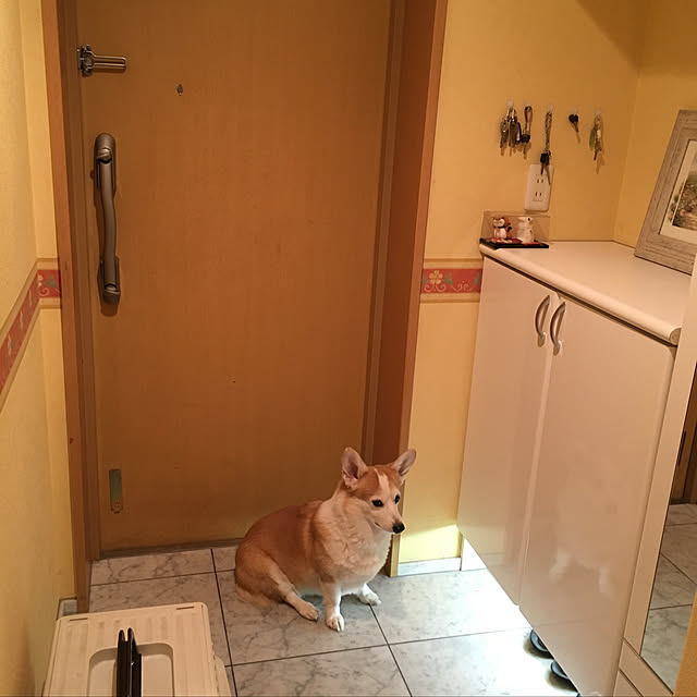 実例写真