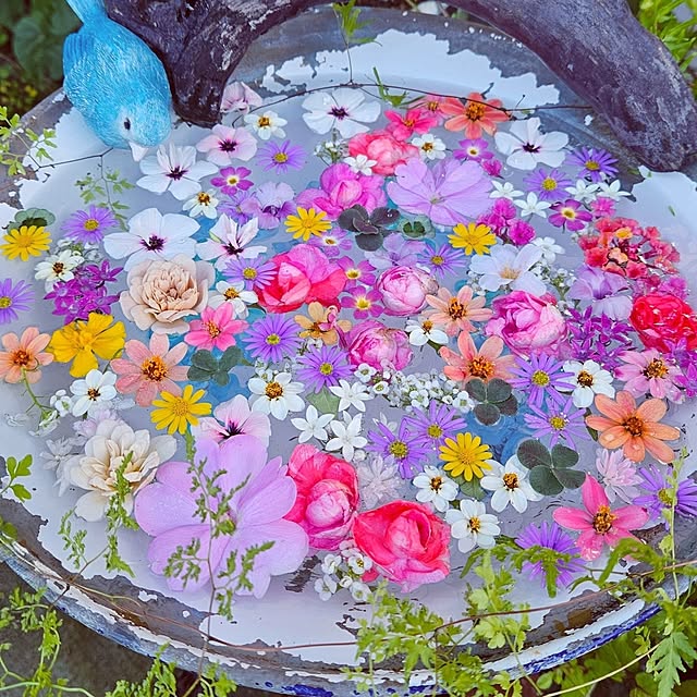 mocomocoさんの部屋