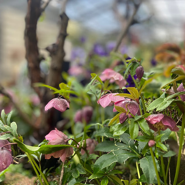 na-chanさんの部屋