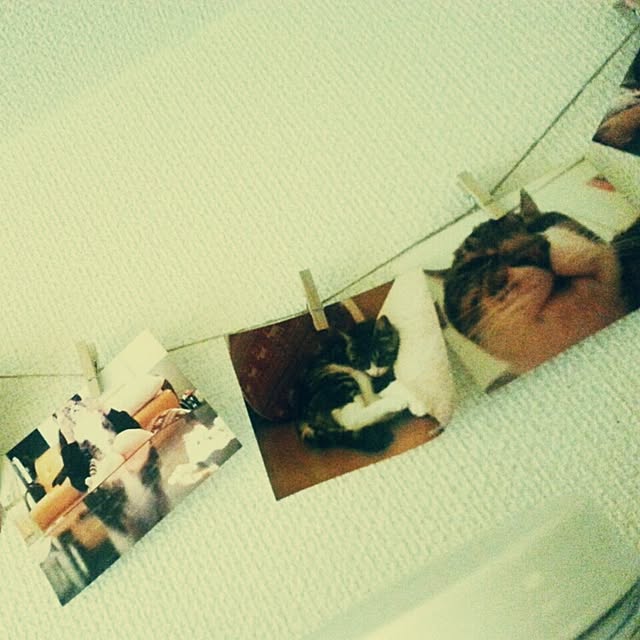 daisyさんの実例写真