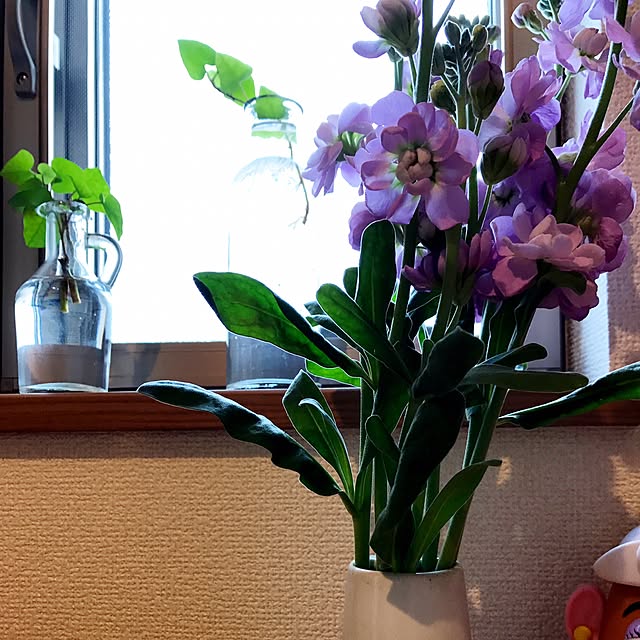 gon.kuroさんの実例写真