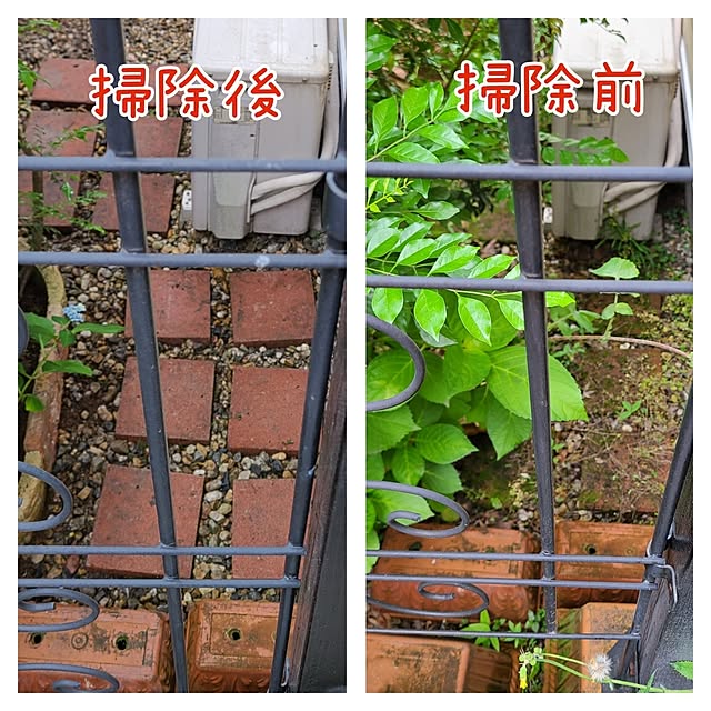 mieさんの部屋