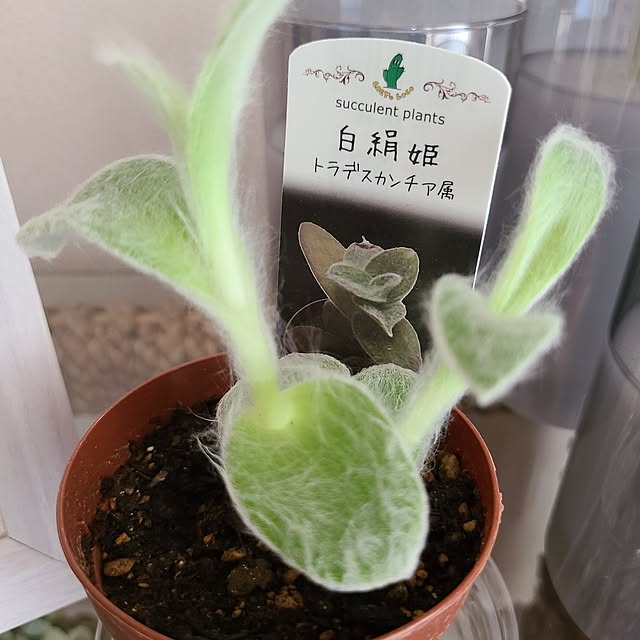 Rubiconさんの部屋