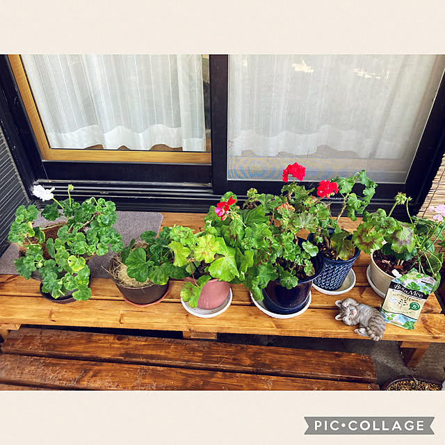 CoCo0617さんの実例写真