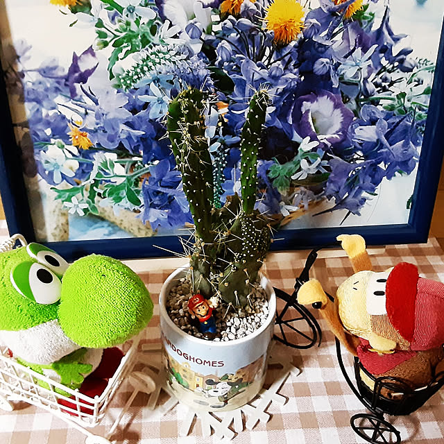 katさんの実例写真