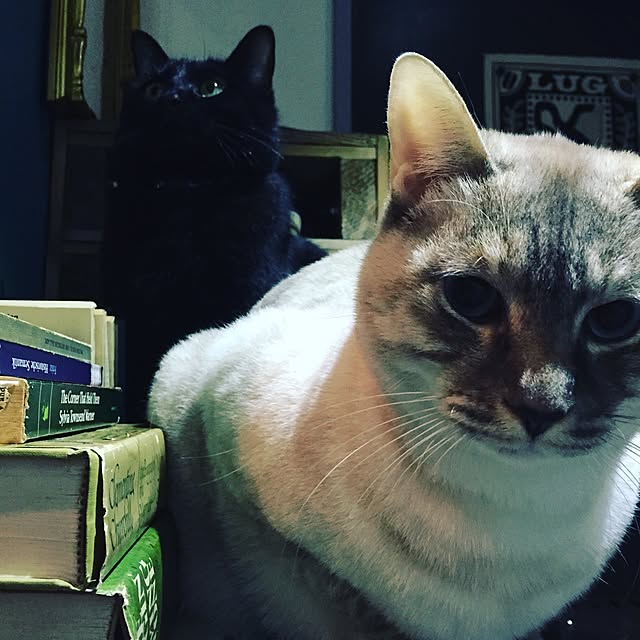 Naoki.さんの実例写真