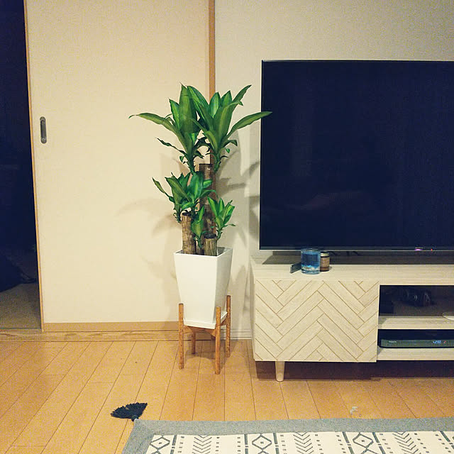 nnnaaaoooさんの実例写真